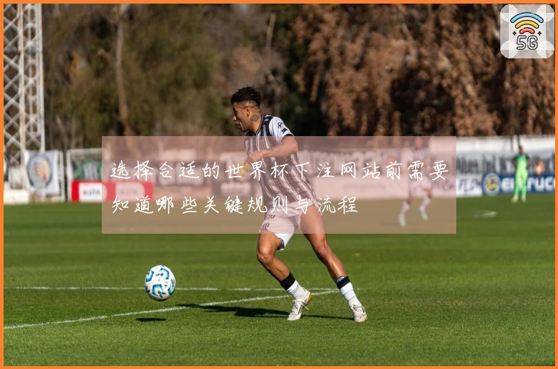 选择合适的世界杯下注网站前需要知道哪些关键规则与流程