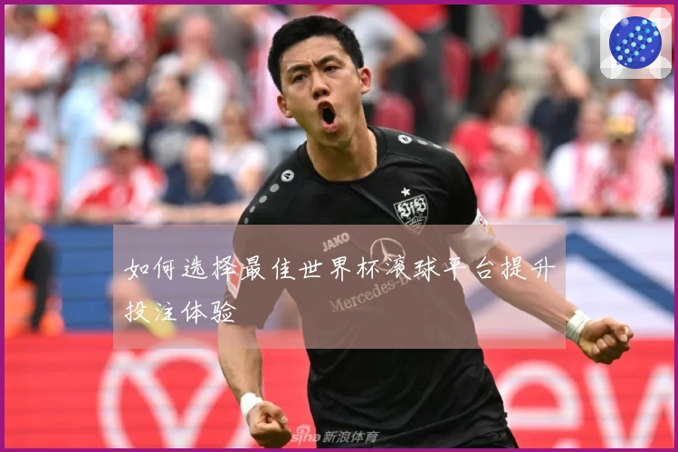 如何选择最佳世界杯滚球平台提升投注体验