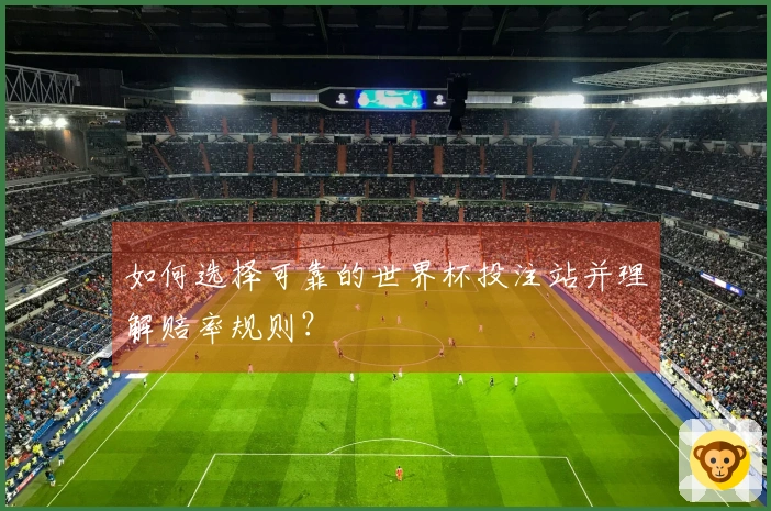 如何选择可靠的世界杯投注站并理解赔率规则？
