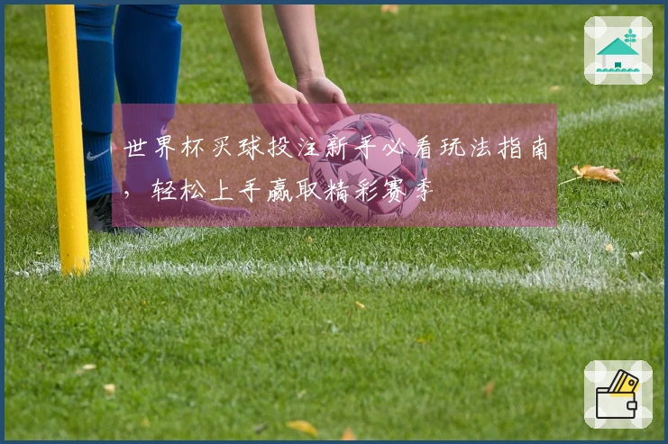世界杯买球投注新手必看玩法指南，轻松上手赢取精彩赛季