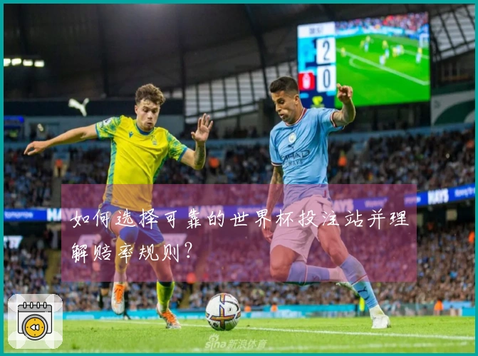 如何选择可靠的世界杯投注站并理解赔率规则？
