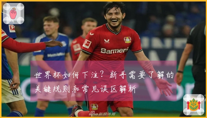 世界杯如何下注？新手需要了解的关键规则和常见误区解析
