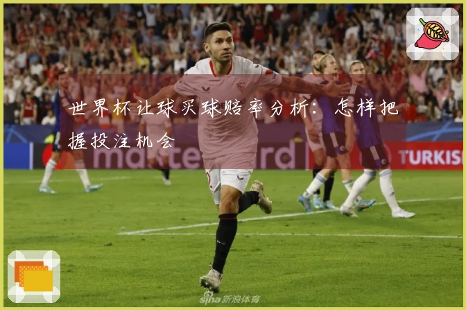 世界杯让球买球赔率分析：怎样把握投注机会