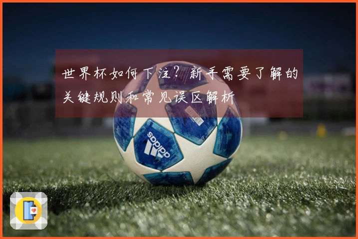 世界杯如何下注？新手需要了解的关键规则和常见误区解析