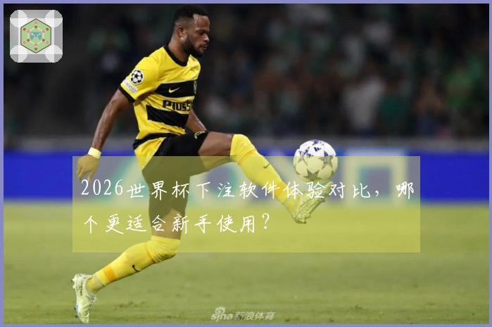 2026世界杯下注软件体验对比，哪个更适合新手使用？