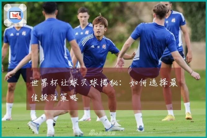 世界杯让球买球揭秘：如何选择最佳投注策略
